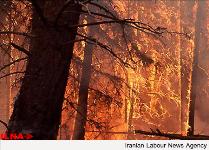 آتش‎سوزی در اراضی جنگلی رشتخوار